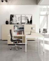 arredo ufficio direzionale 01 funnyy  